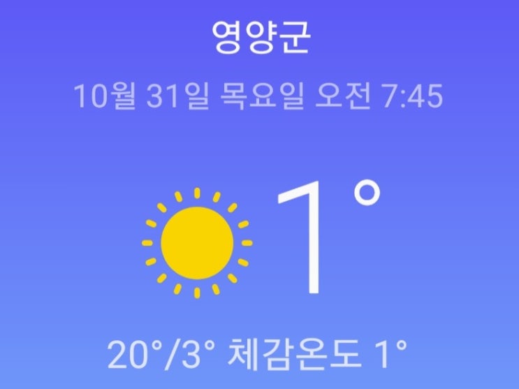  [연두네텃밭] 씨앗받는 농사이야기 김장배추 토종배추 조선무 재래종배추 자라는 모습