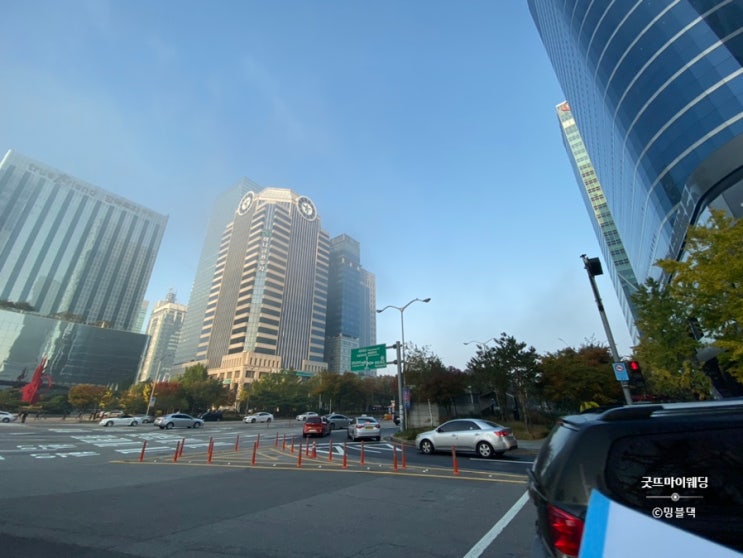  미세먼지 안개.. 출근길 공기가 말이 아닌 아침 ㅠㅠ