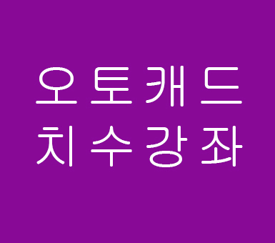 오토캐드 치수를 넣어보자 오토캐드 치수를 넣어보자