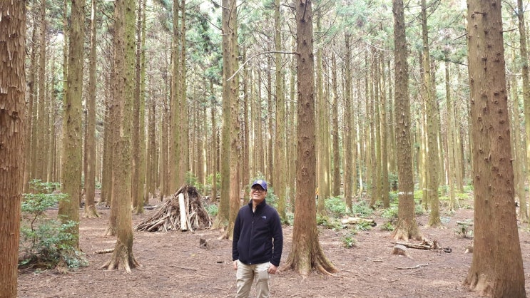  오랜만에 가는 제주도 여행 - 오설록,산굼부리,사려니숲길
