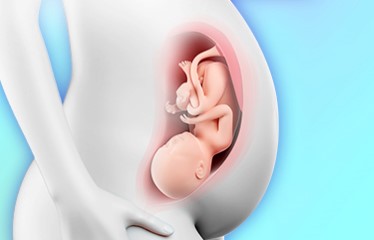 [막달 임신일기] 37주 38주 증상 (출산징후, 치골통, 태동, 이슬, 가진통과 불면)