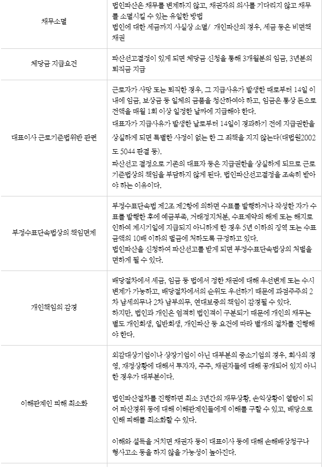 법인파산 대표이사 개인책임 5