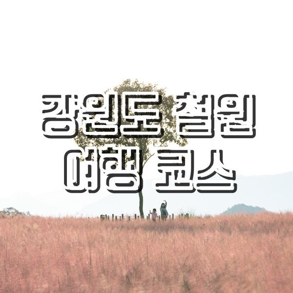  [강원도 철원 여행코스] 고석정 꽃밭 핑크뮬리, 만두전골 맛집, 직탕폭포, 노동당사, 삼부연폭포