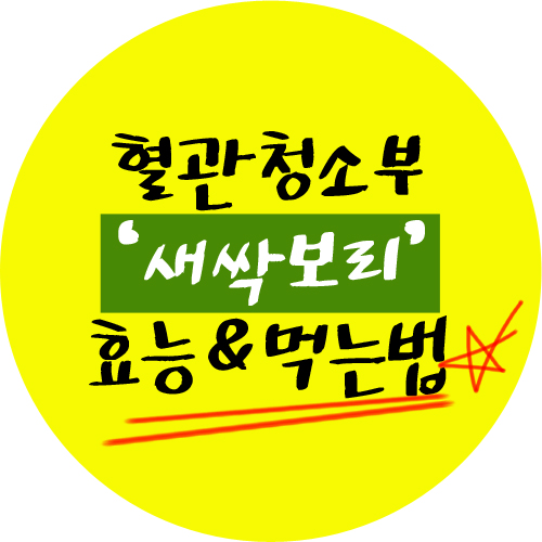  어리다고 놀리지 말아요 새싹보리효능 탁월해~