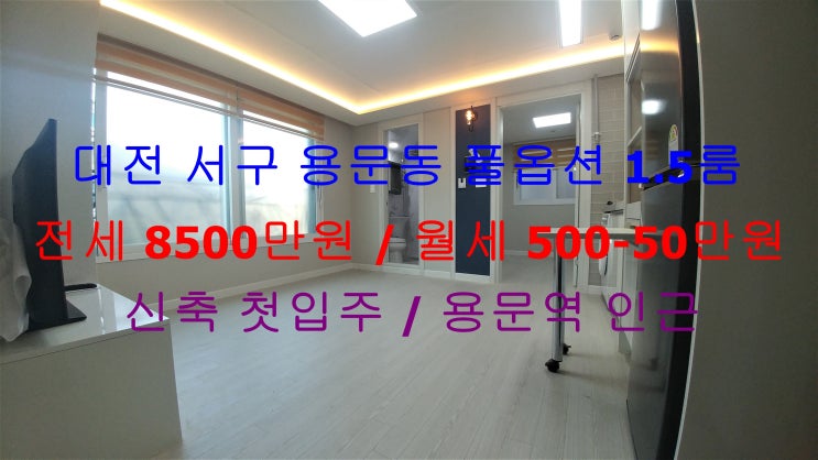  대전 서구 용문동 용문역 인근에 있는 역세권 !! 신축 첫입주에 풀옵션 1.5룸 (투룸식 원룸) ^^ 전세 월세 모두 가능한 매물입니다 ~!