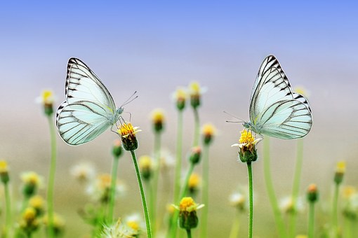 김우빈 여친 신민아, 파격 뽀글머리 인증샷.."너무 예뻐 미치겠다"