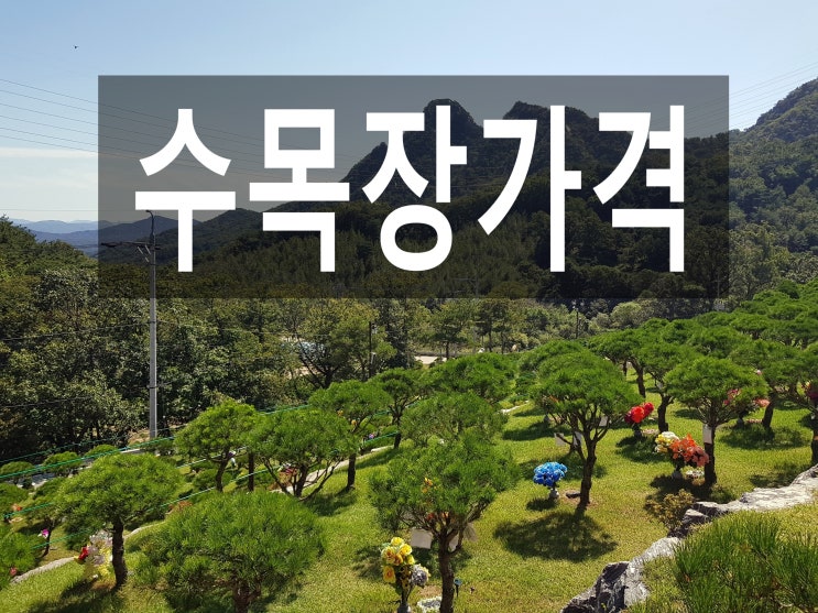  수목장가격 비싸면 좋은 건가요?