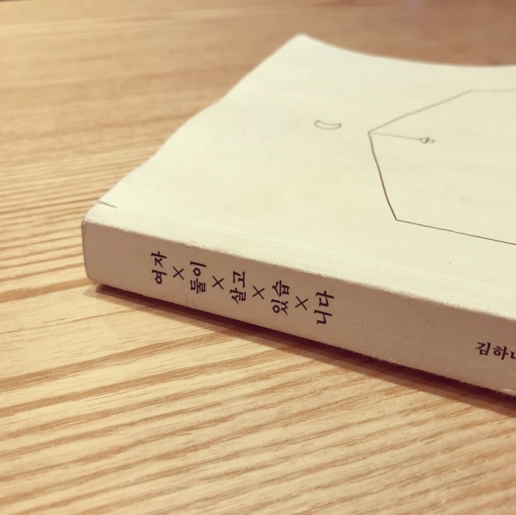 책. 여자 둘이 살고 있습니다. 김하나 황선우 책. 여자 둘이 살고 있습니다. 김하나 황선우