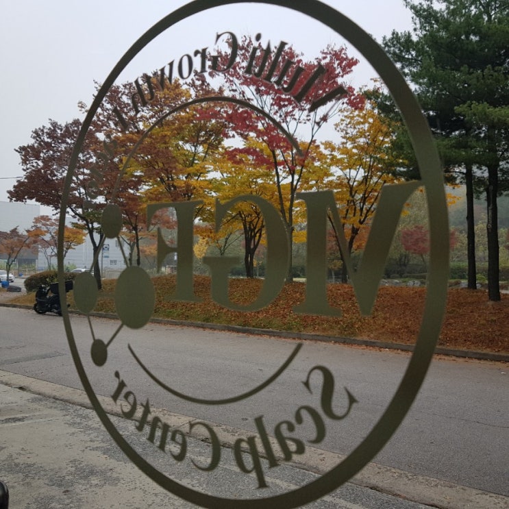  춘천탈모 엠지에프 두피탈모 전문센터에서는....
