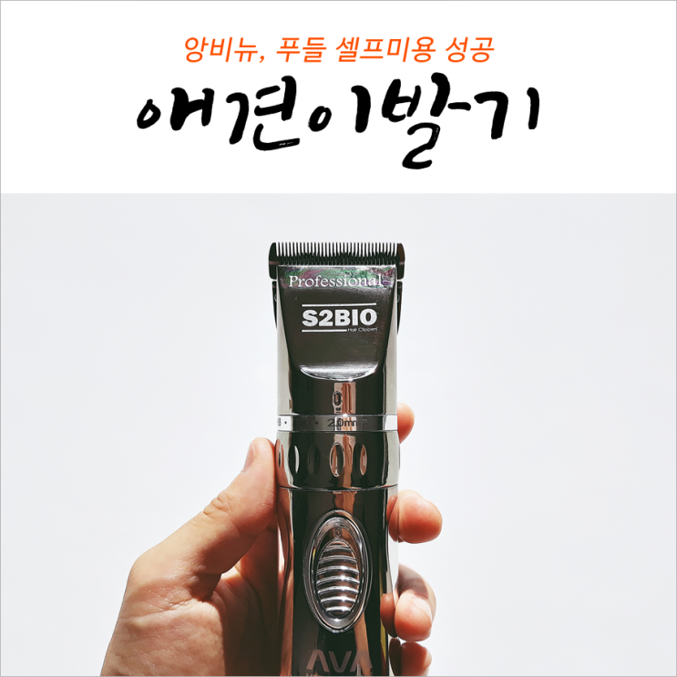 앙비뉴 애견이발기 푸들 셀프미용 성공