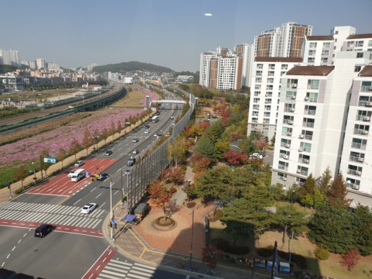  어렵다. 아이의 아픔