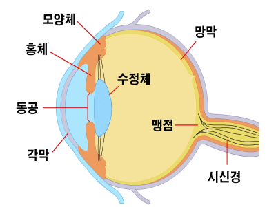  노안 | 핀홀안경의 효과? | 아! 노안!