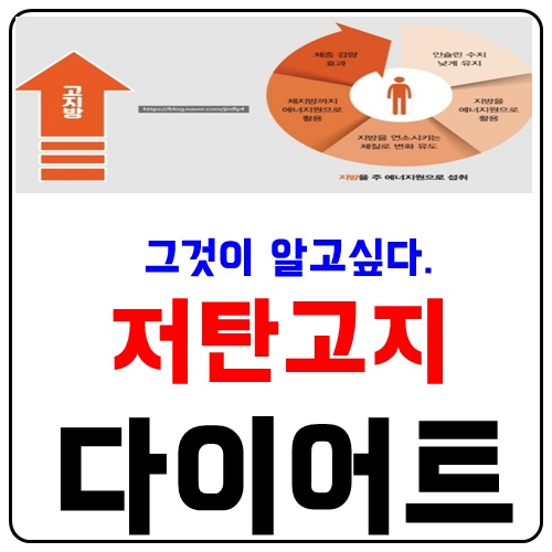  저탄고지 다이어트 그것이 알고싶다.