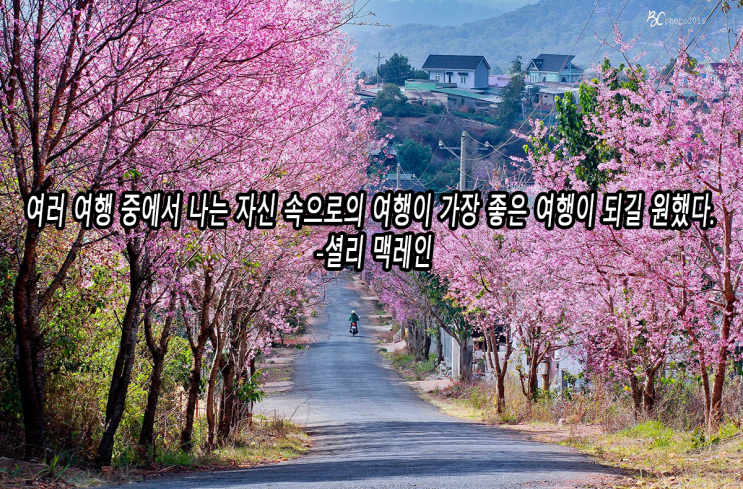  세상에서 가장 즐거운 일은 여행이다 !!!