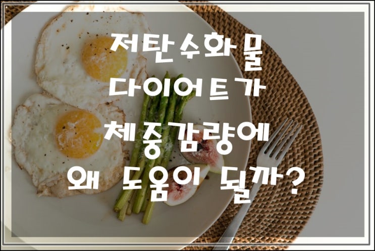  왜 저탄수화물 다이어트를 하는가