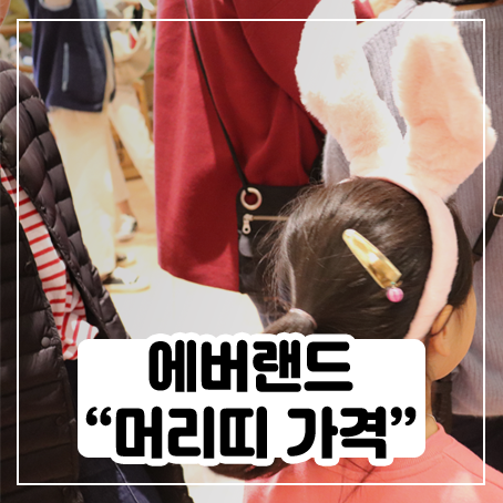 에버랜드 머리띠 가격 - 그렇게까지 비싸진 않구나! 에버랜드 머리띠 가격 - 그렇게까지 비싸진 않구나!