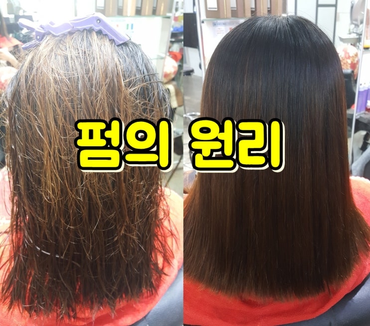  파마의 원리, 직펌과 연화펌 차이 연화와 환원이란?