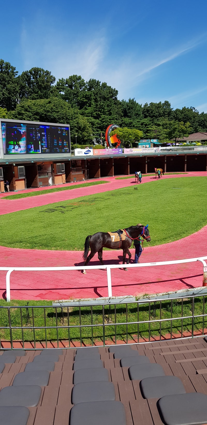 세계에서 가장 비싼 말 품종 /종마/경주마 가격 TOP5 : 네이버 블로그, image size:800x1646
