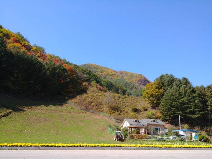  화곡동원룸이사 친절하게 잘하나요