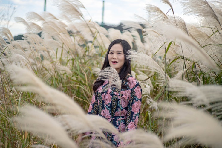  양산 가족 나들이, 황산문화체육공원에서 억새와 함께 인생샷 찍어요~