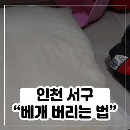 베개 버리는법 정리해봤어요 (인천 서구) 베개 버리는법 정리해봤어요 (인천 서구)