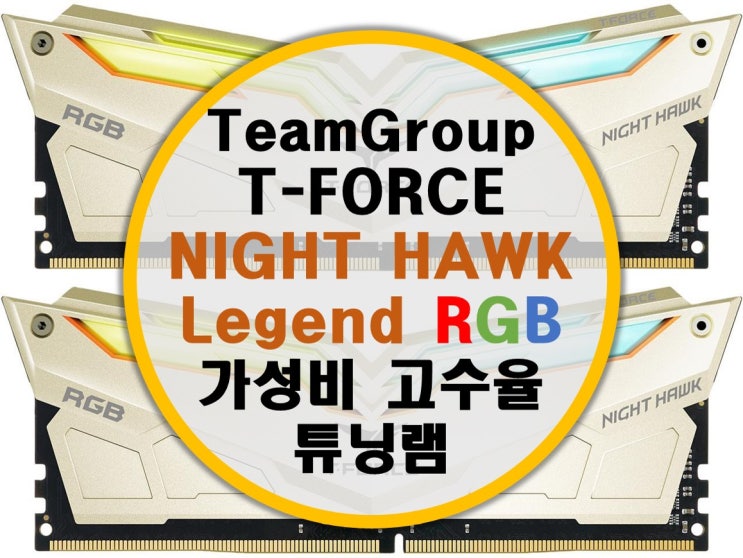 팀그룹 TeamGroup T-FORCE Night Hawk Legend RGB 3200 C14 고수율 삼성 b다이 튜닝램 리뷰