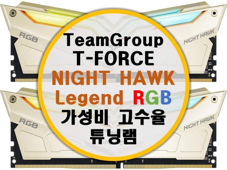 팀그룹 TeamGroup T-FORCE Night Hawk Legend RGB 3200 C14 고수율 삼성 b다이 튜닝램 리뷰 팀그룹 TeamGroup T-FORCE Night Hawk Legend RGB 3200 C14 고수율 삼성 b다이 튜닝램 리뷰