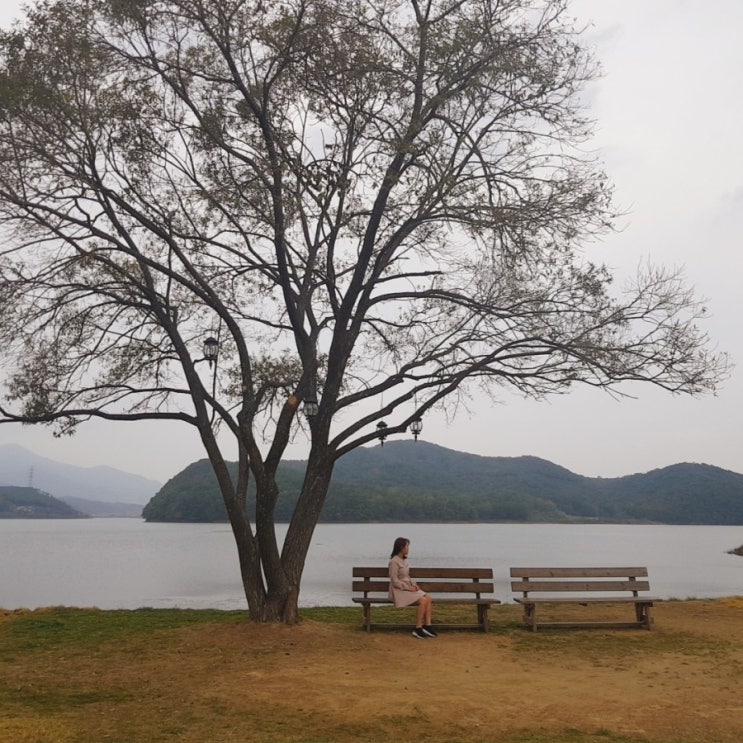  보령 죽도 상화원 카페 블루레이크 다녀왔어요
