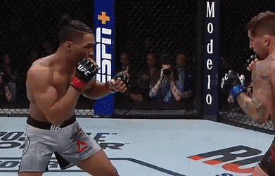 UFC 244 : BMF 마스비달 vs 디아즈 피니시(GIF) 영상 및 뒷얘기