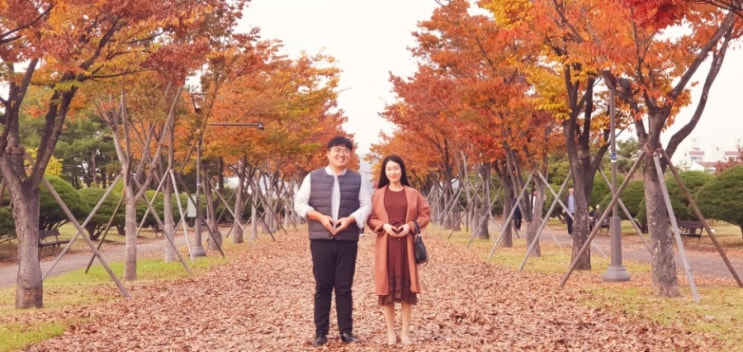 울산 단풍놀이(빕스/문수운동장 마로니에길) 울산 단풍놀이(빕스/문수운동장 마로니에길)