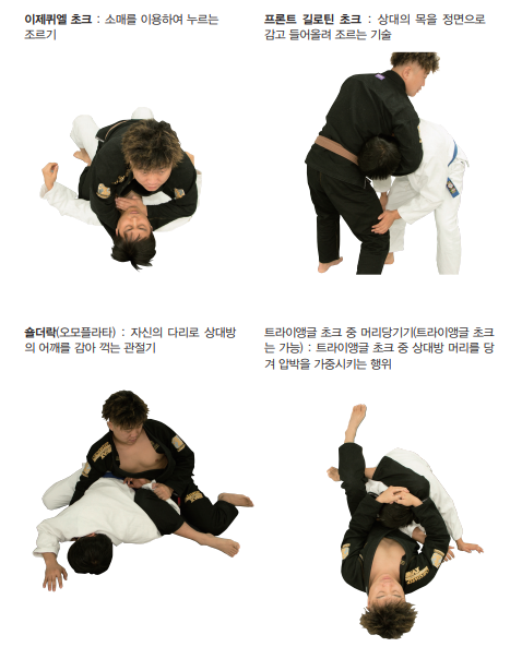 [IBJJF 기준] 브라질리언 주짓수 테크니컬 파울 & 반칙 동작 소개 : 네이버 블로그