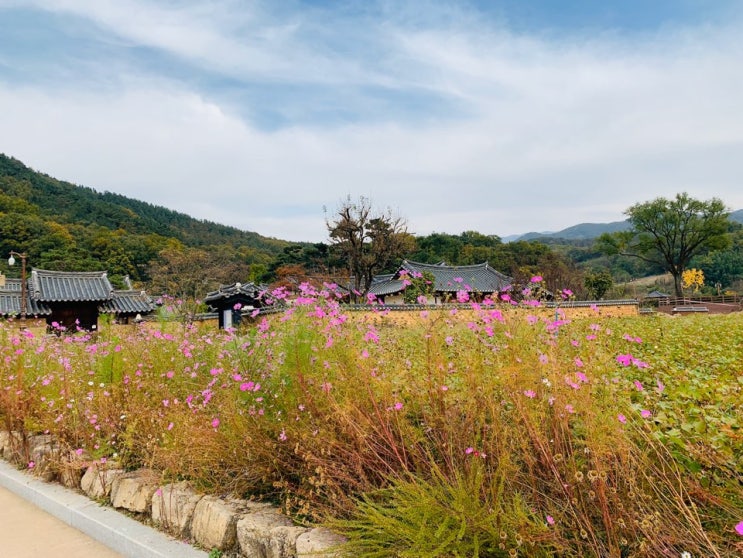  대구 여행 남평 문씨 세거지(인흥마을),마비정 벽화마을 Feat 마비정황토방식당,아담스채플