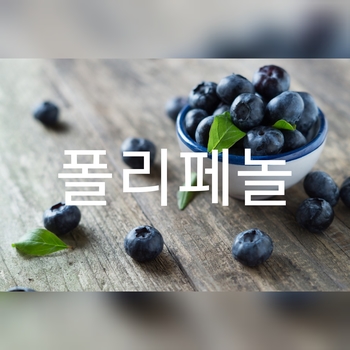  항산화물질 폴리페놀의 효능과 효과 그리고 종류! 노화 방지를 원한다면 여기로 모여랏