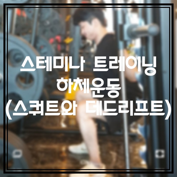  [수원남부경찰서 헬스장] 스테미너 와 정력을 위한 트레이닝 하체운동(스쿼트와 데드리프트)