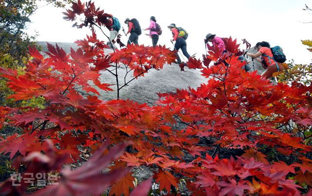 단풍 산행, 한박자 늦어도 좋은 이유