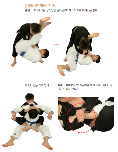 [IBJJF 기준] 브라질리언 주짓수 테크니컬 파울 & 반칙 동작 소개 : 네이버 블로그