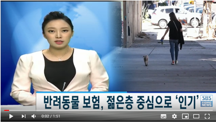 [반려동물 보험, 젊은층 중심으로 '인기'] SBS Evening News