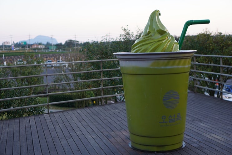  제주도 여행기 ! 오늘은 오설록 티 뮤지엄 입니다잉 ~맛있는 차와 함께 산책 또한 하실 수 있는 공간!