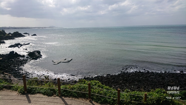  [제주도 여행 - 5] 차귀도 배낚시, 인디안 키친, 애월 카페 지금 이 순간