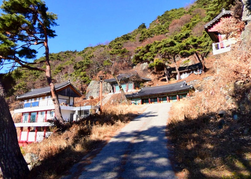 대운암/경북 청도군 청도읍 : 네이버 블로그