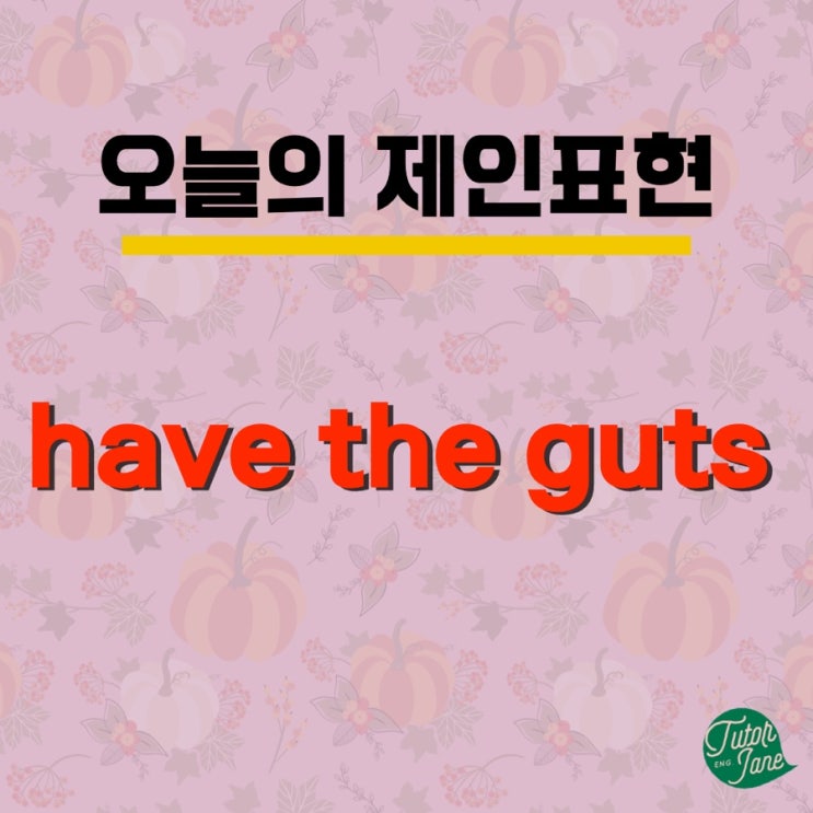  [오늘의 제인표현#3] '배짱이 있다' 영어로 어떻게 말할까요?