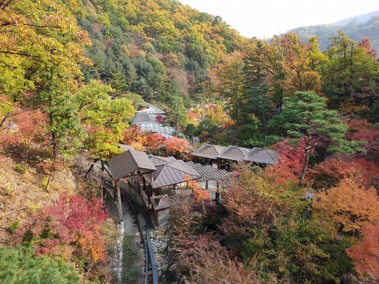  곤지암 화담숲 단풍명소 할인예약방법