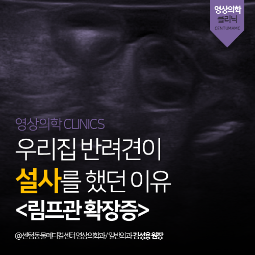  [영상의학과] 우리집 반려견이 설사를 했던 이유 <림프관 확장증>(부산 영상 검사 분석 전문 동물병원, 센텀동물메디컬센터, 강아지 설사)