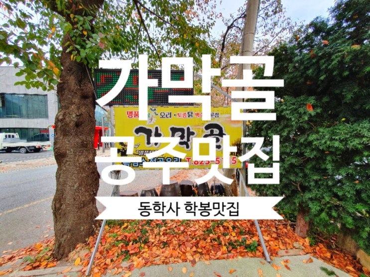  [공주맛집] 동학사 백숙맛집 가막골에서 제대로 된 산삼백숙 드셔보세요~