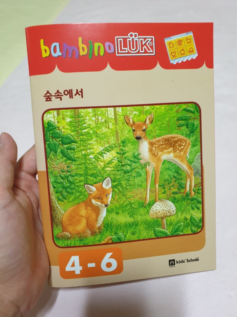 100일독서 #키즈스콜레 #밤비노루크 #독전독후활동 #16번째 #숲속에서 #사계절나무꾸미기 : 네이버 블로그, image size:800x1067