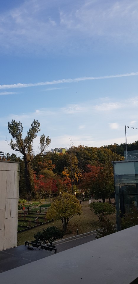  포천여행/포천나들이/서울근교나들이/산정호수/포천맛집/서울양꼬치/건대양꼬치/스테이지28/고덕동카페/