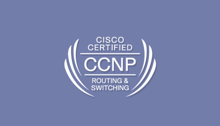  솔데스크 CCNP 자격증 교육은 어떻게 진행되나?