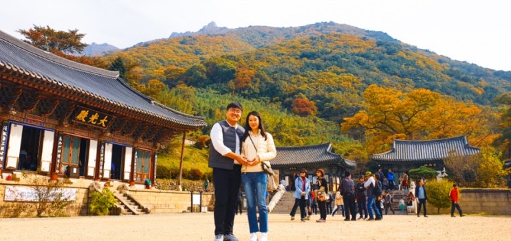 밀양 단풍놀이(밀양 표충사/절밥먹기) 밀양 단풍놀이(밀양 표충사/절밥먹기)