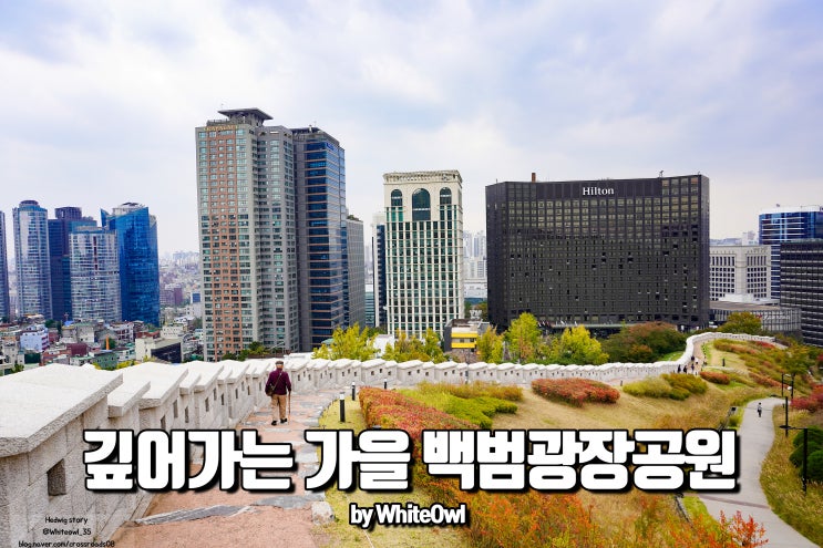  깊어가는 가을 한양도성 남산 백범광장공원