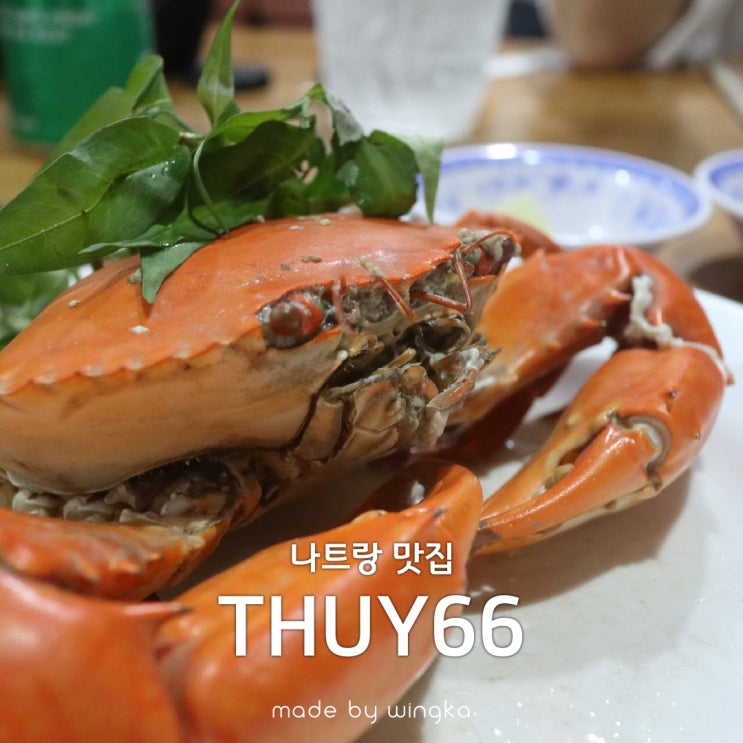  나트랑 해산물 THUY66(떠이66)에서 갑각류 3마리 먹방